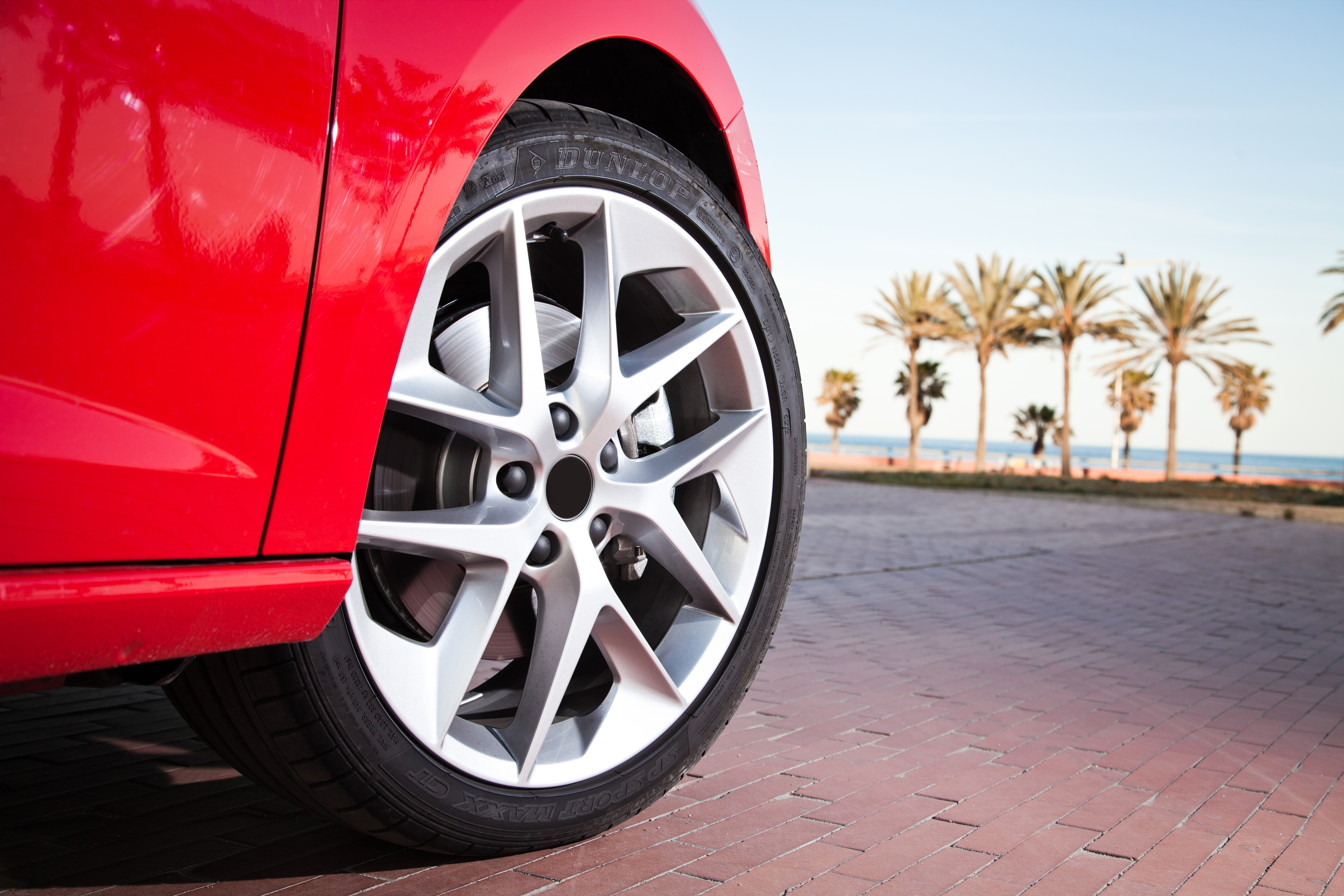 Car Wheel with Palm Trees