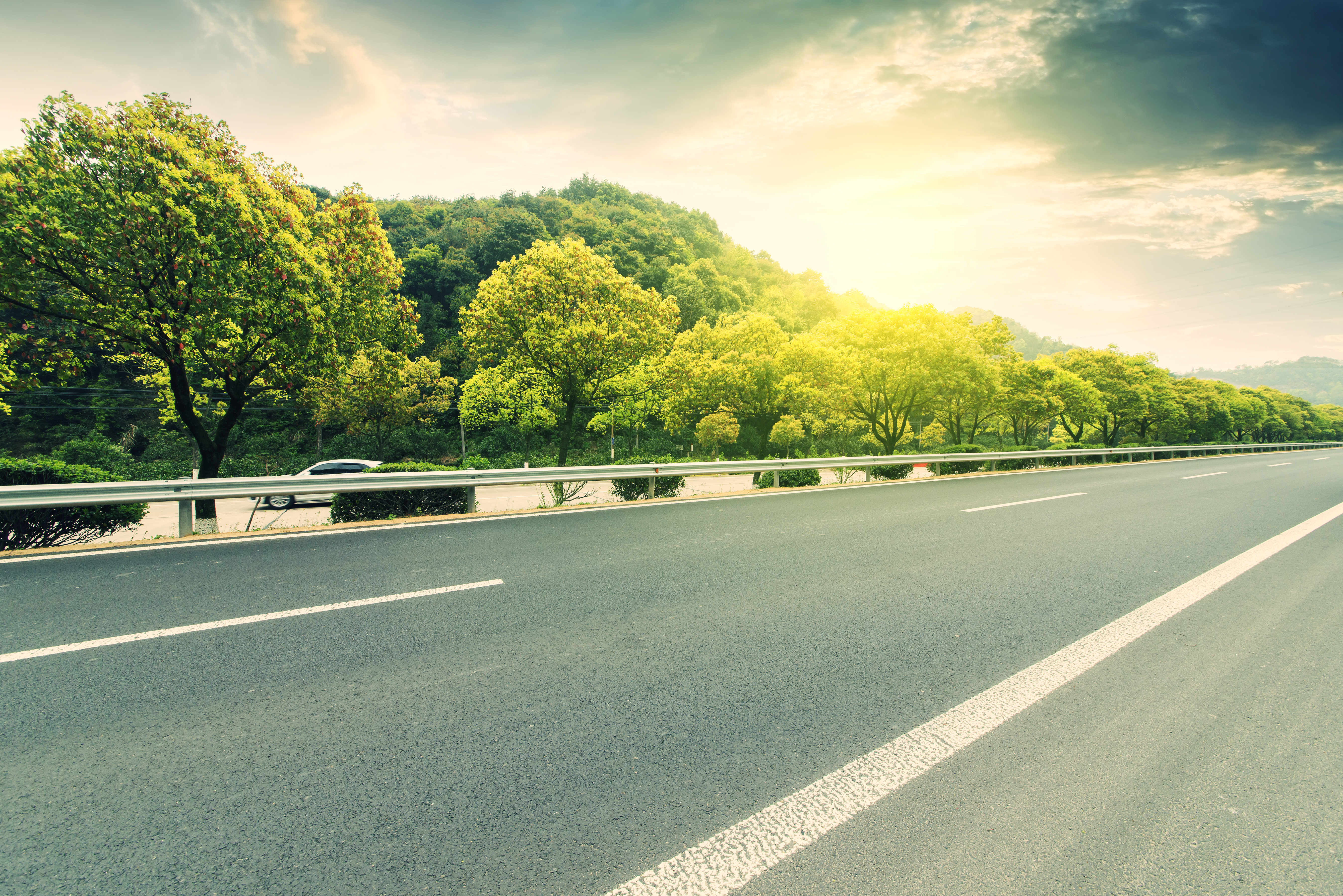 Highway with trees