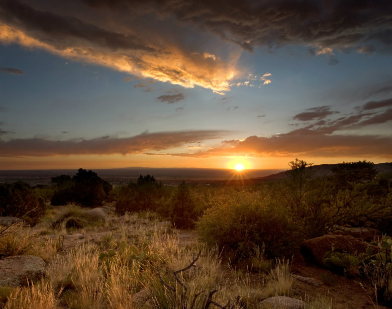 Desert New Mexico