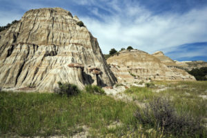 Theodore Roosevelt Campground