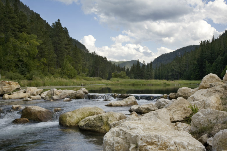 Trout Stream - Black Hills South Dakota