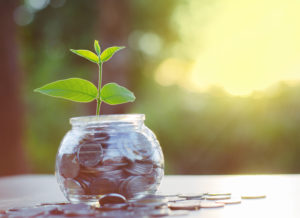 Plant sprouting from coin jar